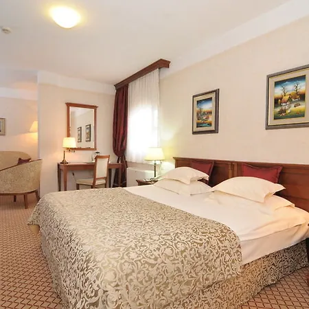Hotel Zlatnik 4*